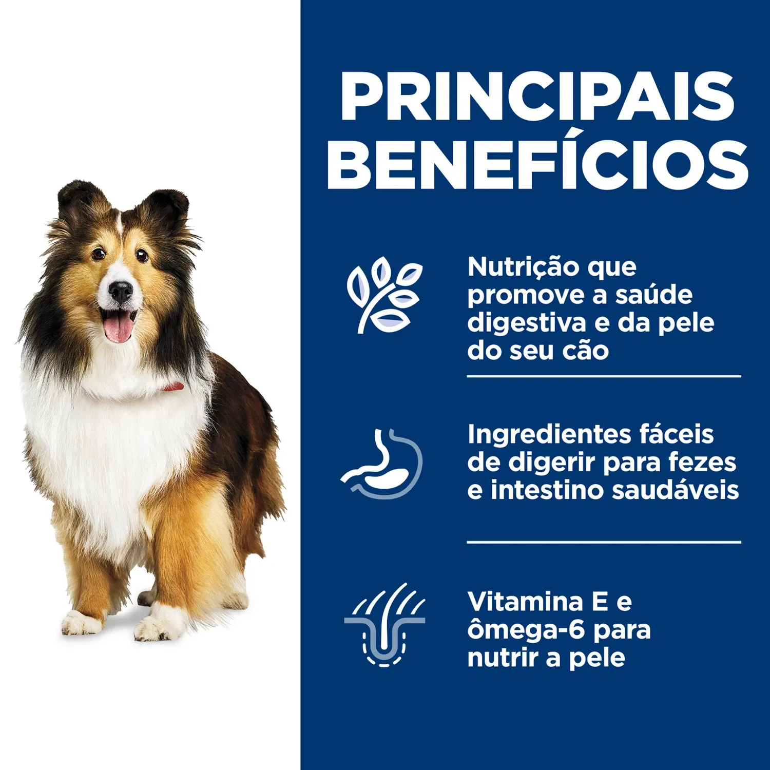 Ração Úmida Hill's Science Diet Pele Sensível para Cães Adultos sabor Peru e Arroz