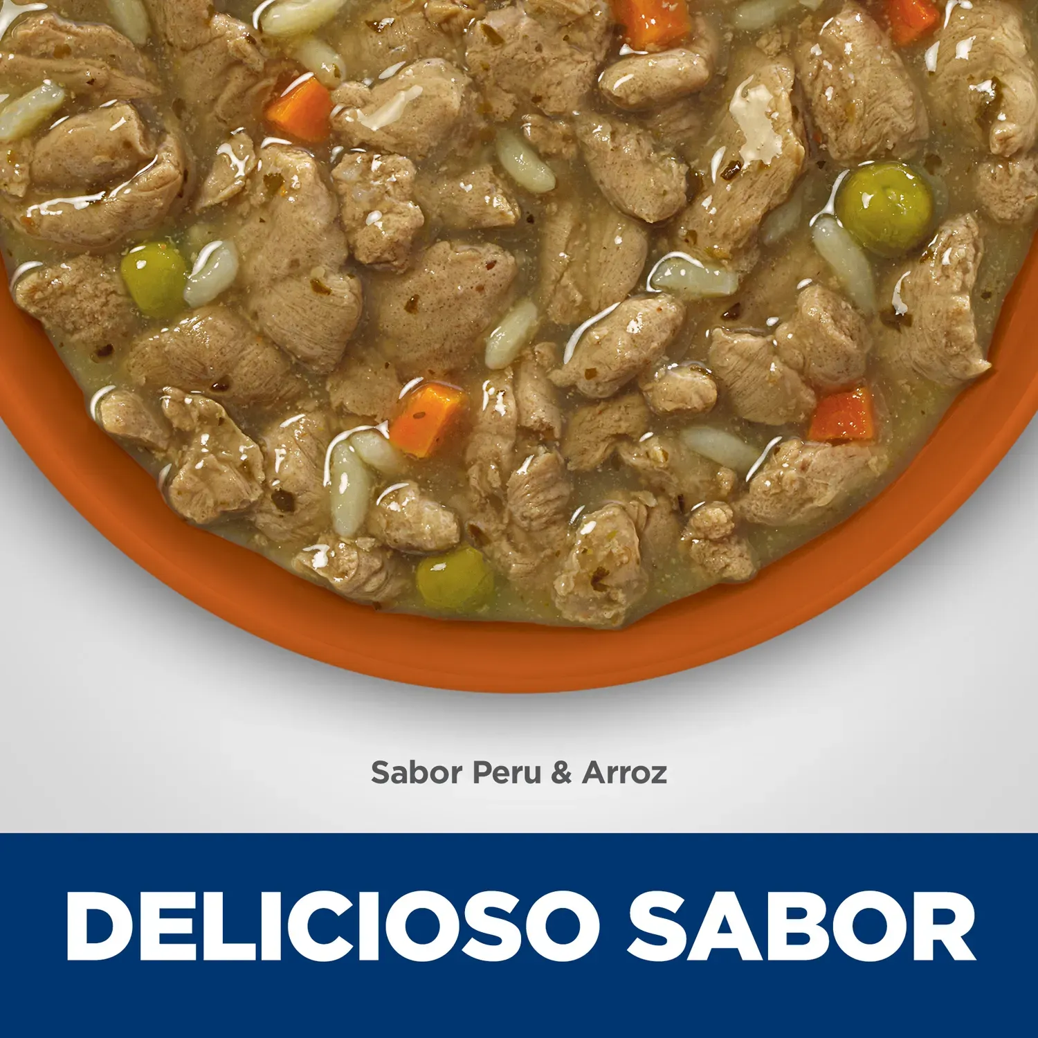 Delicioso-Sabor.webp