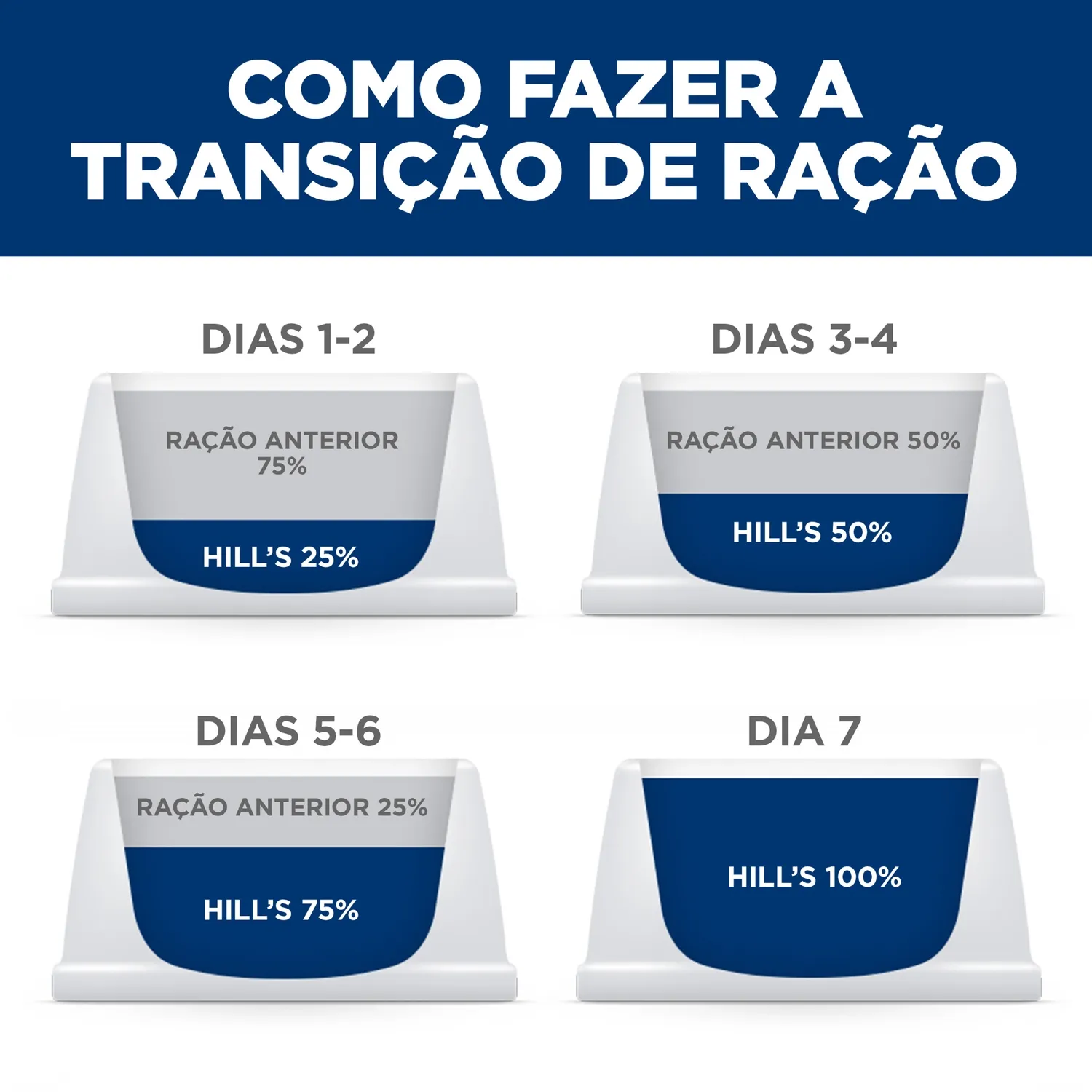 Transicao.webp