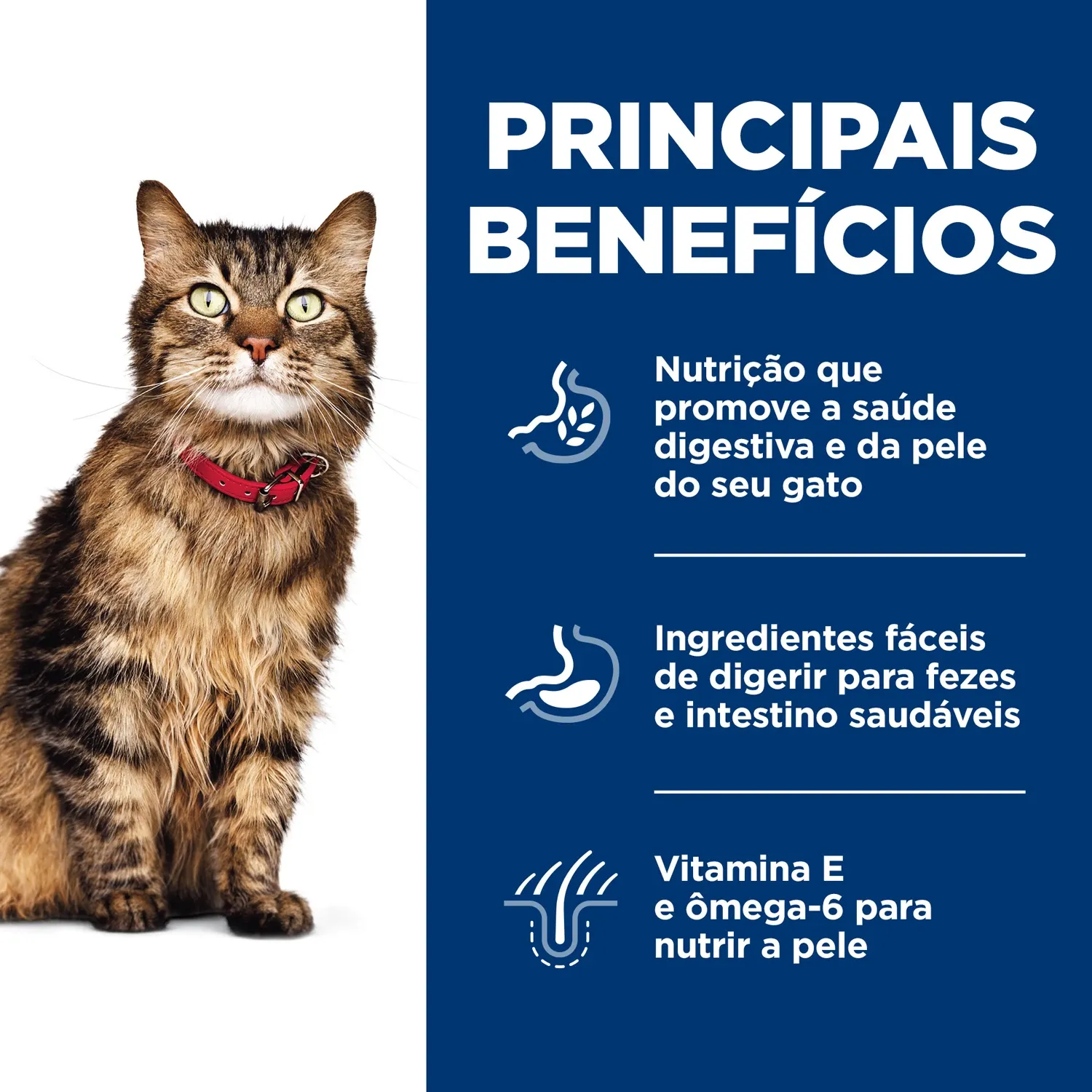 Ração Úmida Hill's Science Diet Pele Sensível para Gatos Adultos Sabor Frango e Vegetais Ração Úmida Hill's Science Diet Pele Sensível para Gatos Adultos Sabor Frango e Vegetais