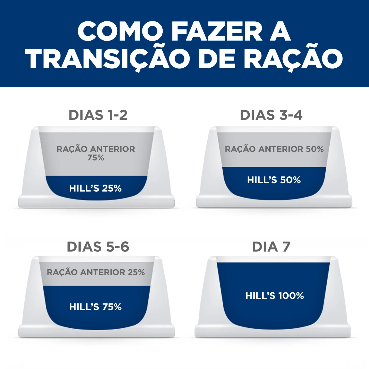 Transicao.webp