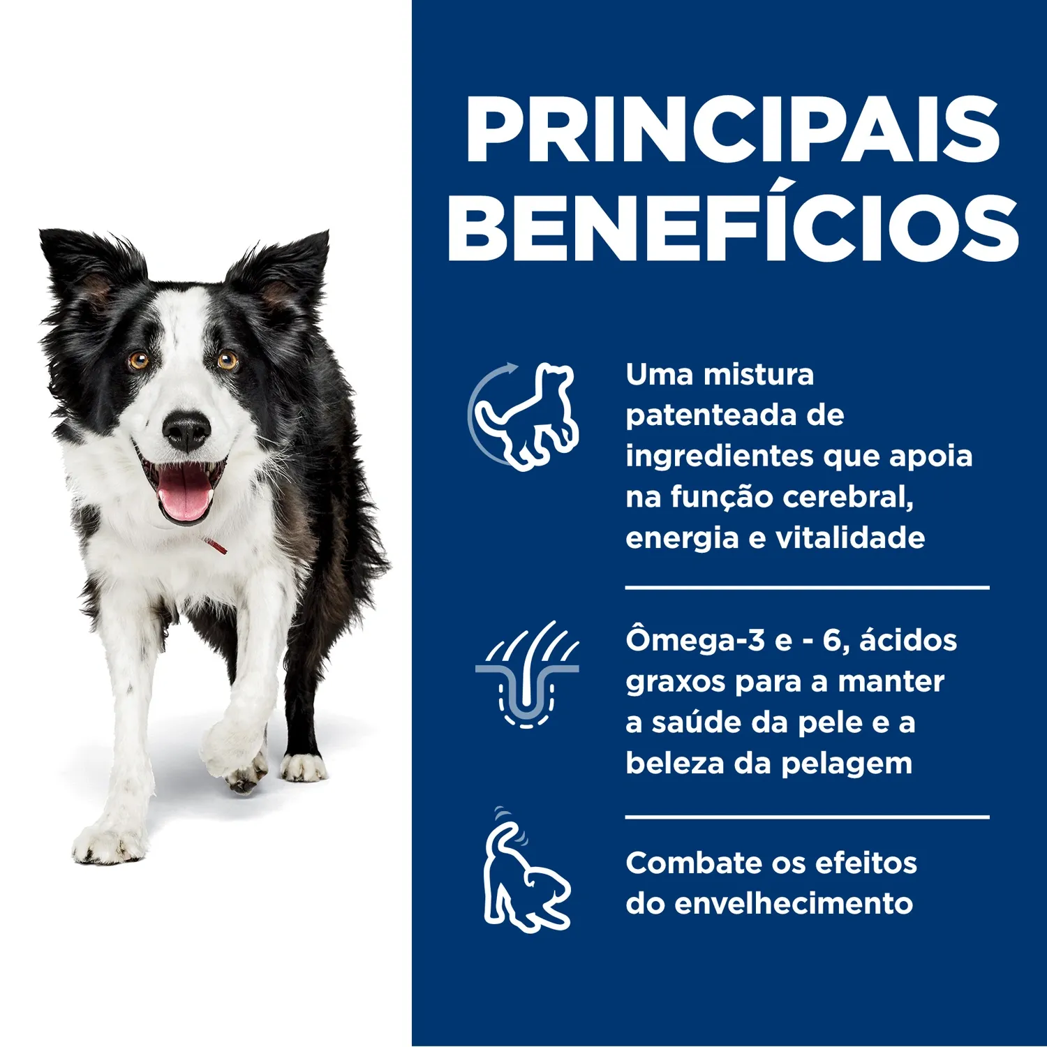 Principais-beneficios.webp