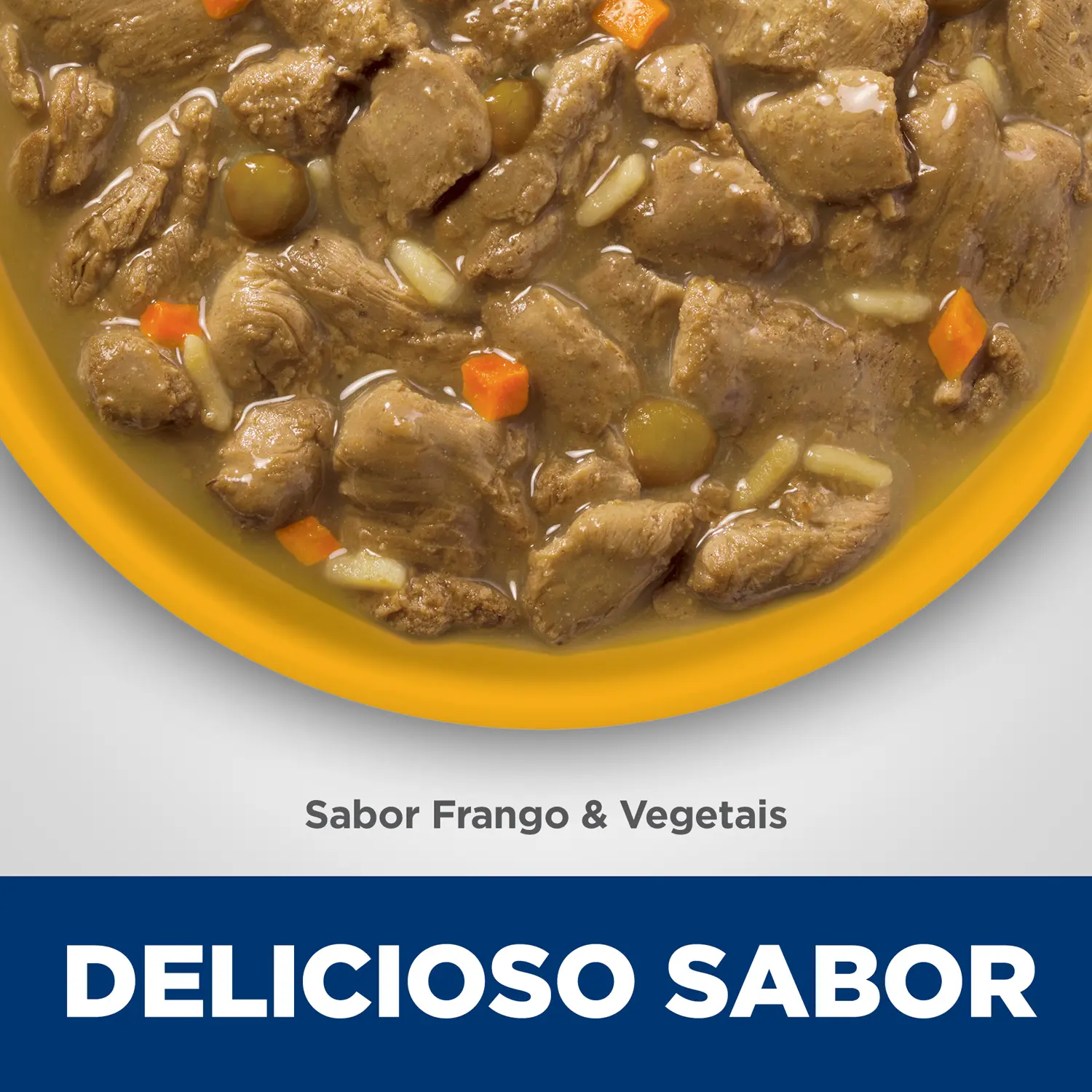 Delicioso-Sabor.webp