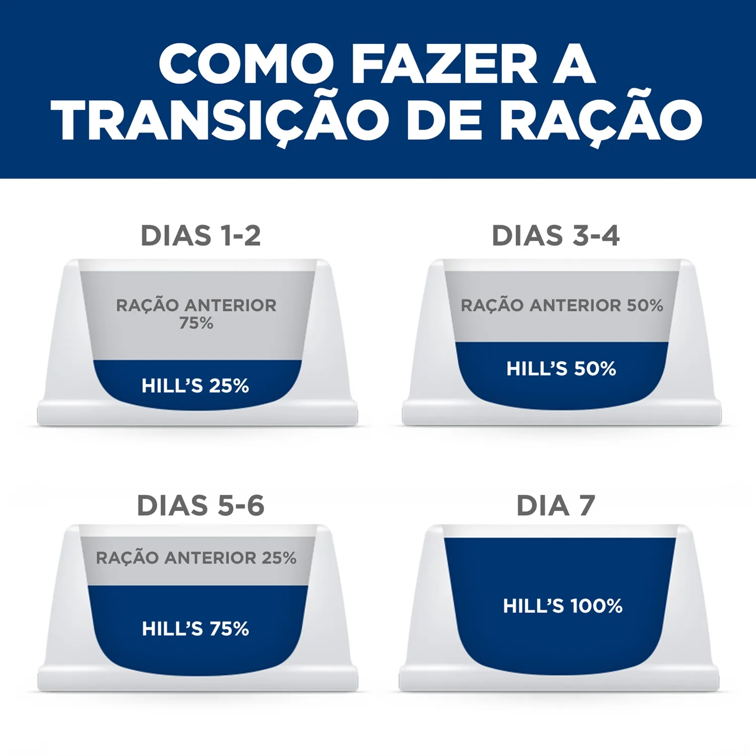 Transicao.webp