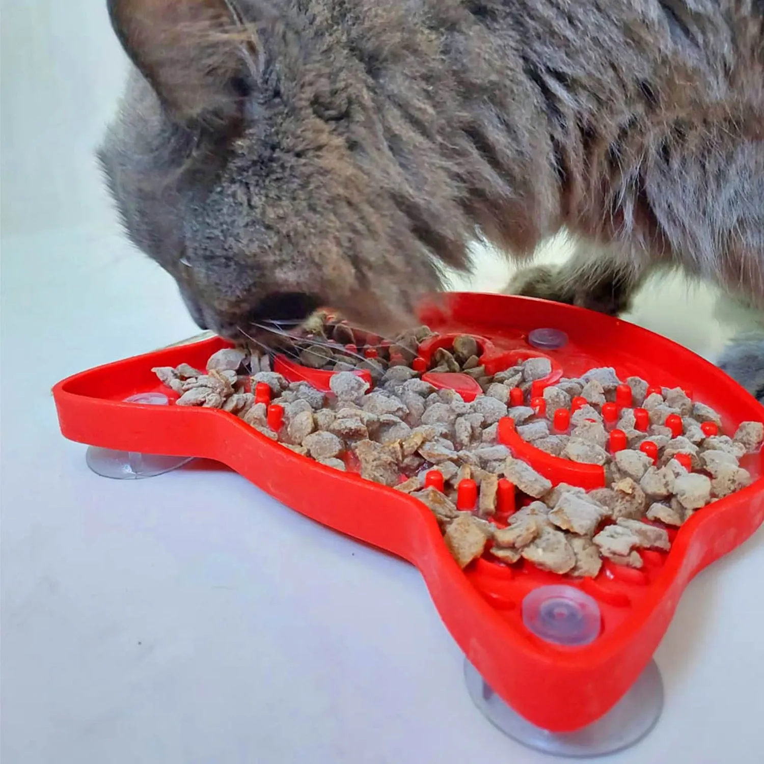 Comedouro Buddy Lambe para Gatos Buddy Toys