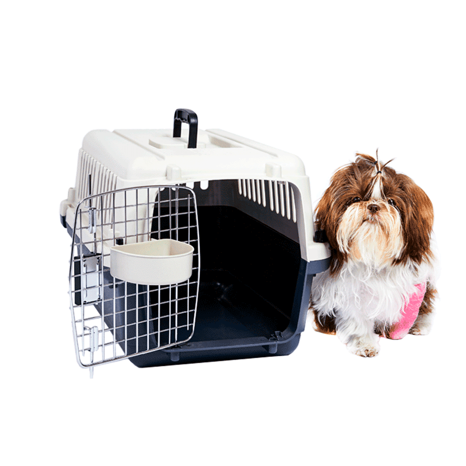 Caixa-de-Transporte-C-Pet-Cachorro-e-Comedouro