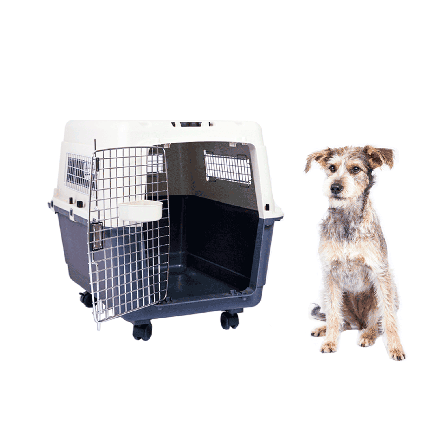 Caixa-de-Transporte-C-Pet-Cachorro