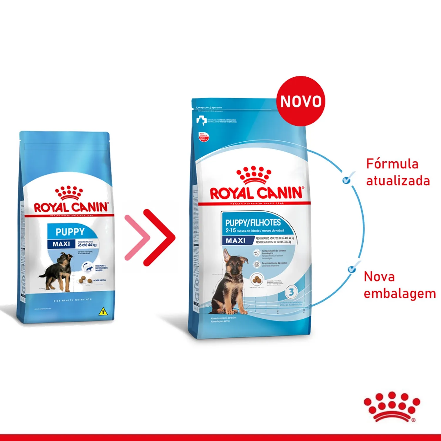 Ração Royal Canin Maxi Puppy para Cães Filhotes Porte Grande
