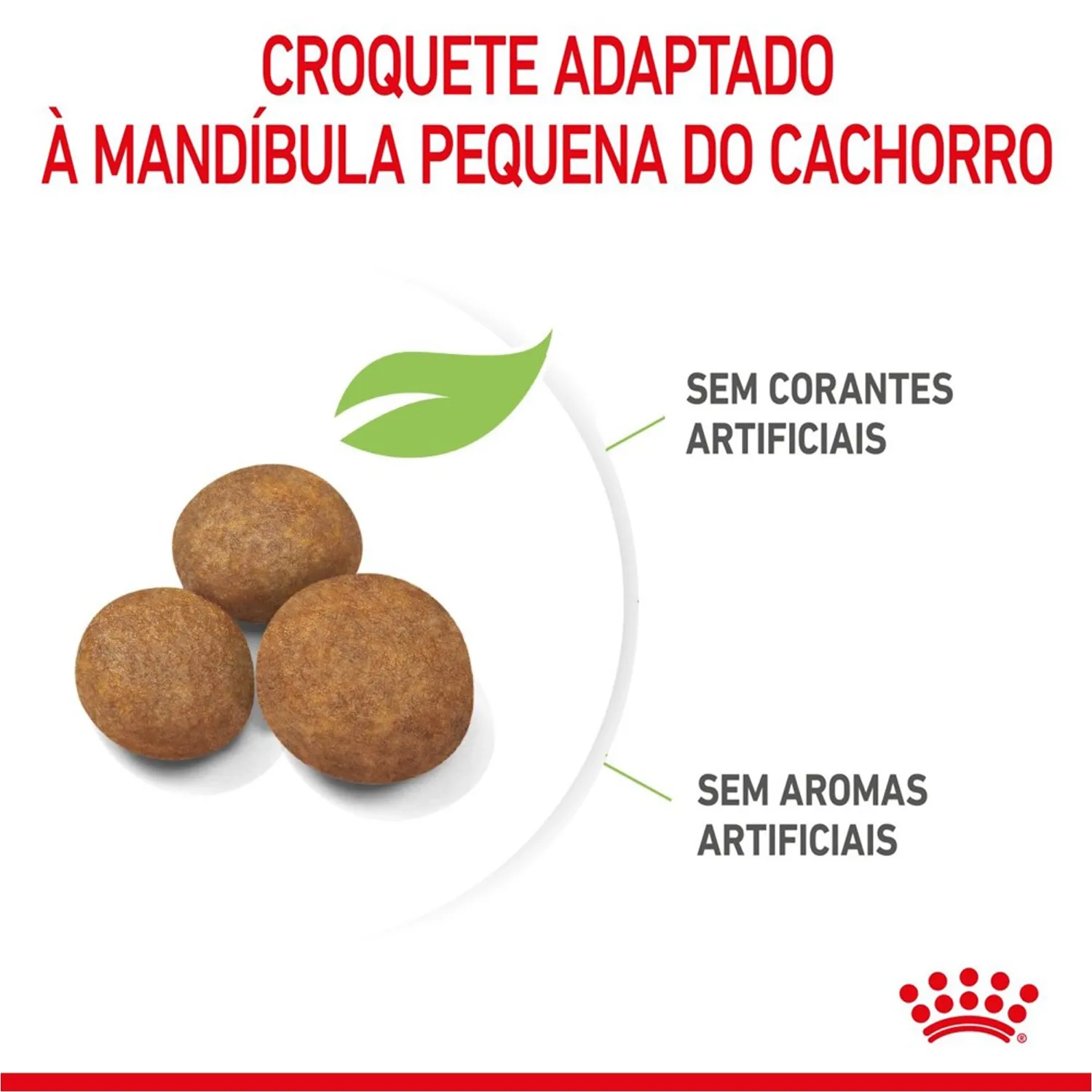 Ração Royal Canin Maxi Puppy para Cães Filhotes Porte Grande