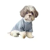 Blusa Moletom Com Manga Cinza Fábrica Pet