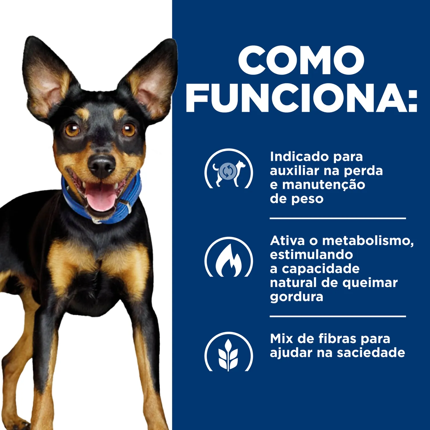 Ração Hill's Prescription Diet Metabolic Obesidade Cães Pedaços Pequenos