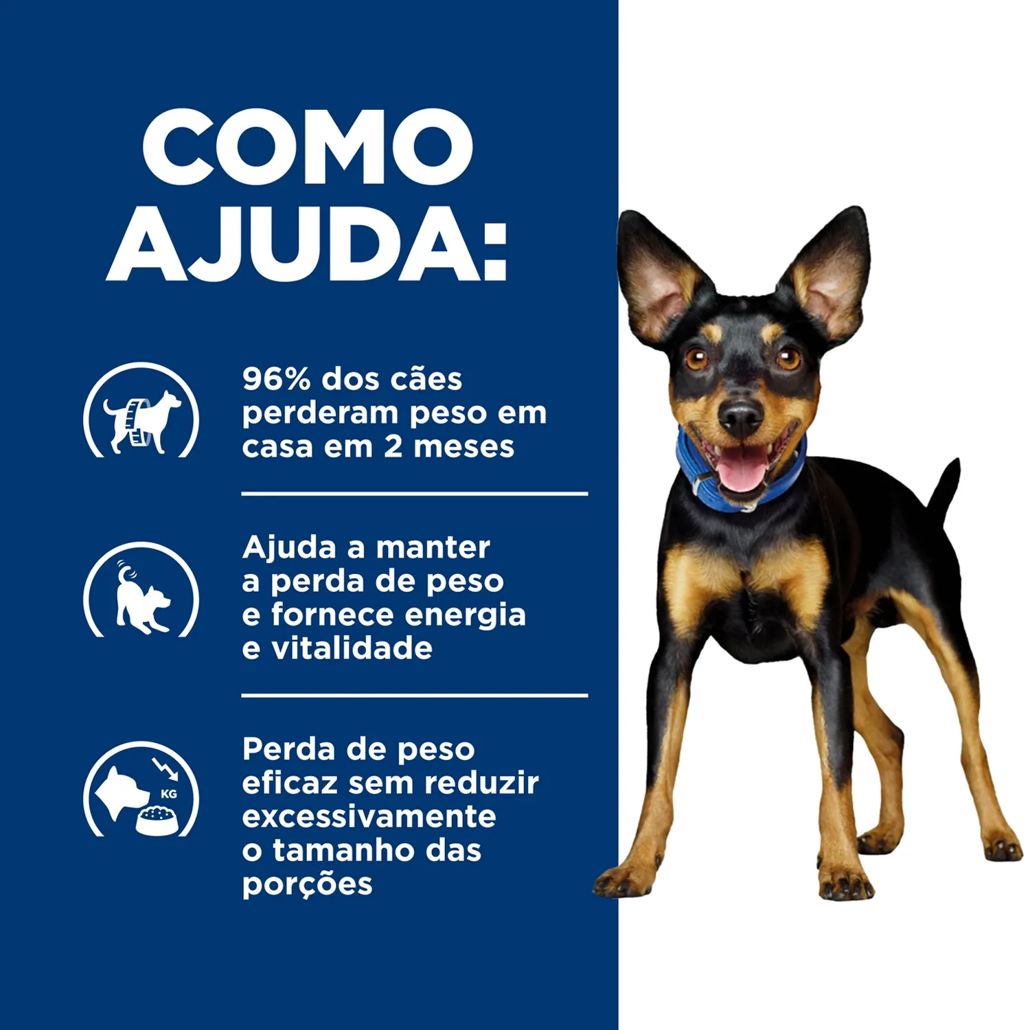 Ração Hill's Prescription Diet Metabolic Obesidade Cães Pedaços Pequenos