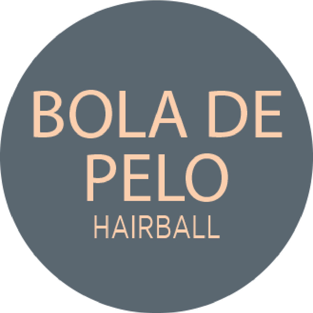 Ração Úmida GranPlus Gatos Adultos Castrados Patê Gourmet Anti Bolas de Pelo Salmão