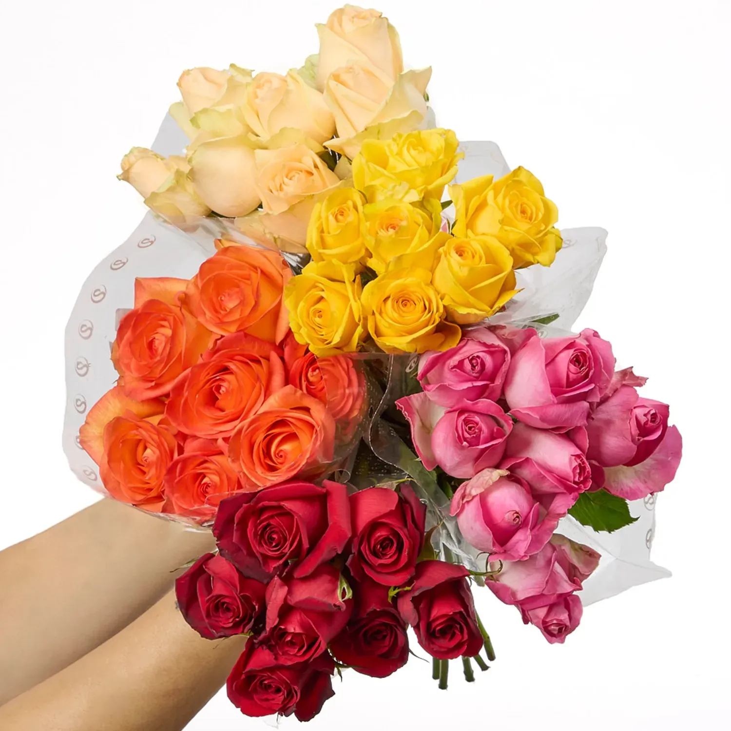 Buque-Maco-Rosa-Natural-Variado-Todas-as-Cores
