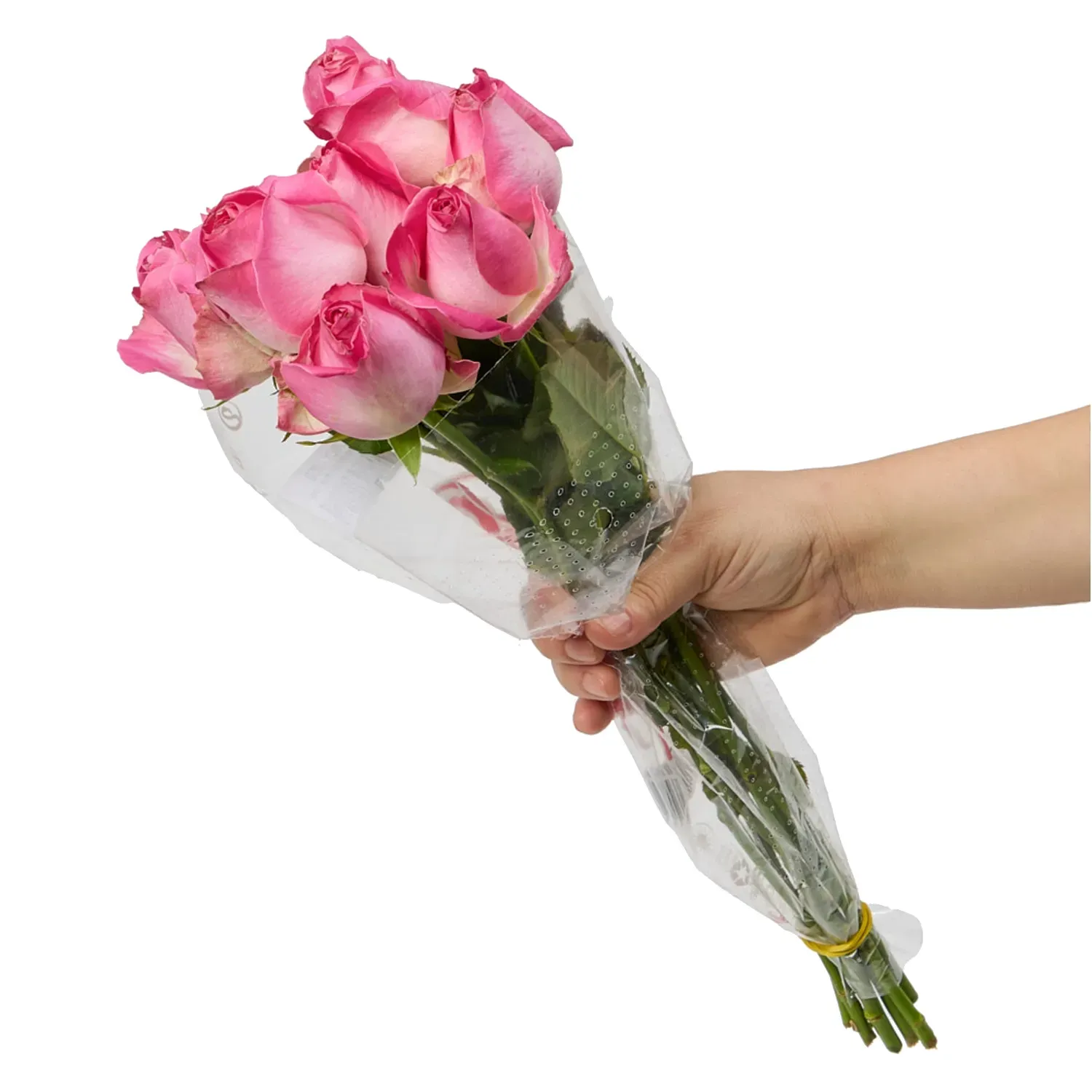 Buque-Maco-Rosa-Natural-Variado-Rosa-Segurando