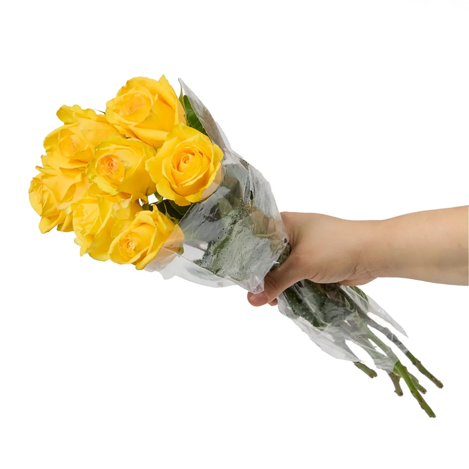 Buque-Maco-Rosa-Natural-Variado-Amarelo-Segurando