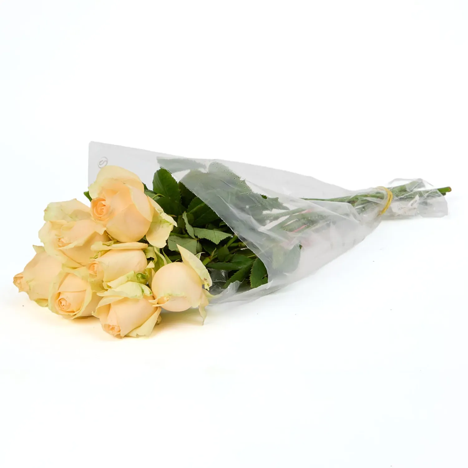 Buque-Maco-Rosa-Natural-Variado-Creme