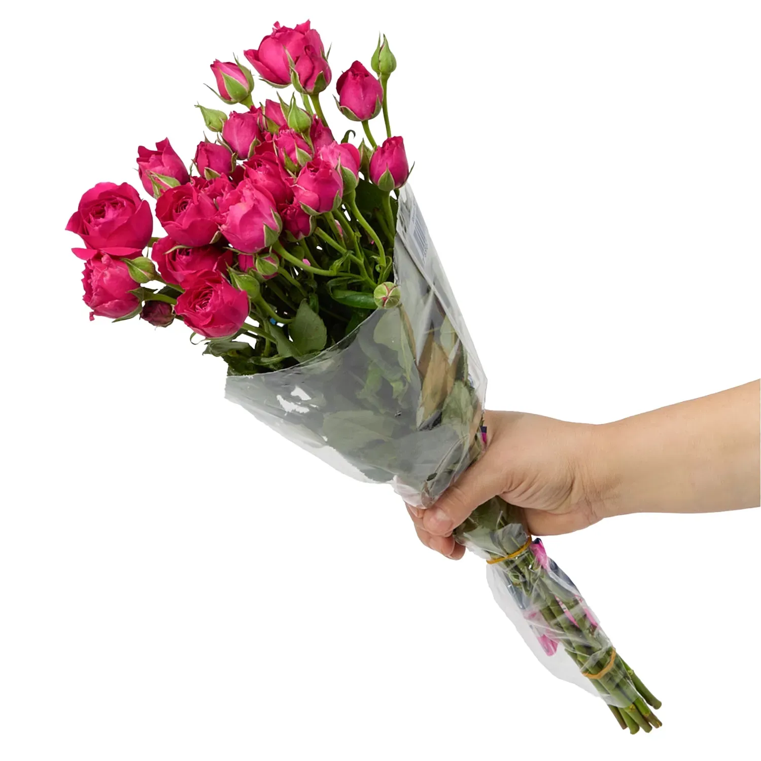Buque-Maco-Rosas-Spray-Natural-Rosa-Segurando