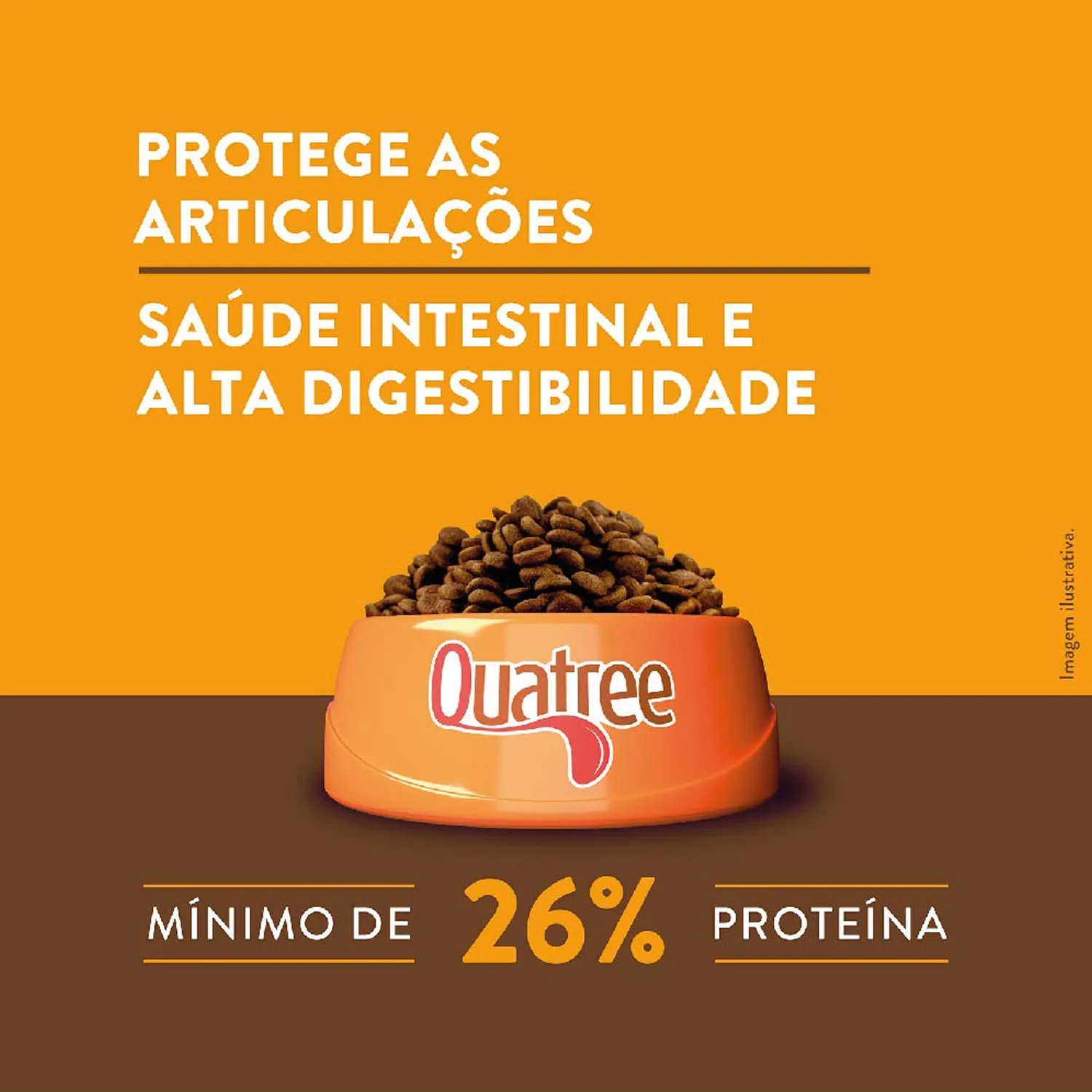 5-Protege-Articulacoes