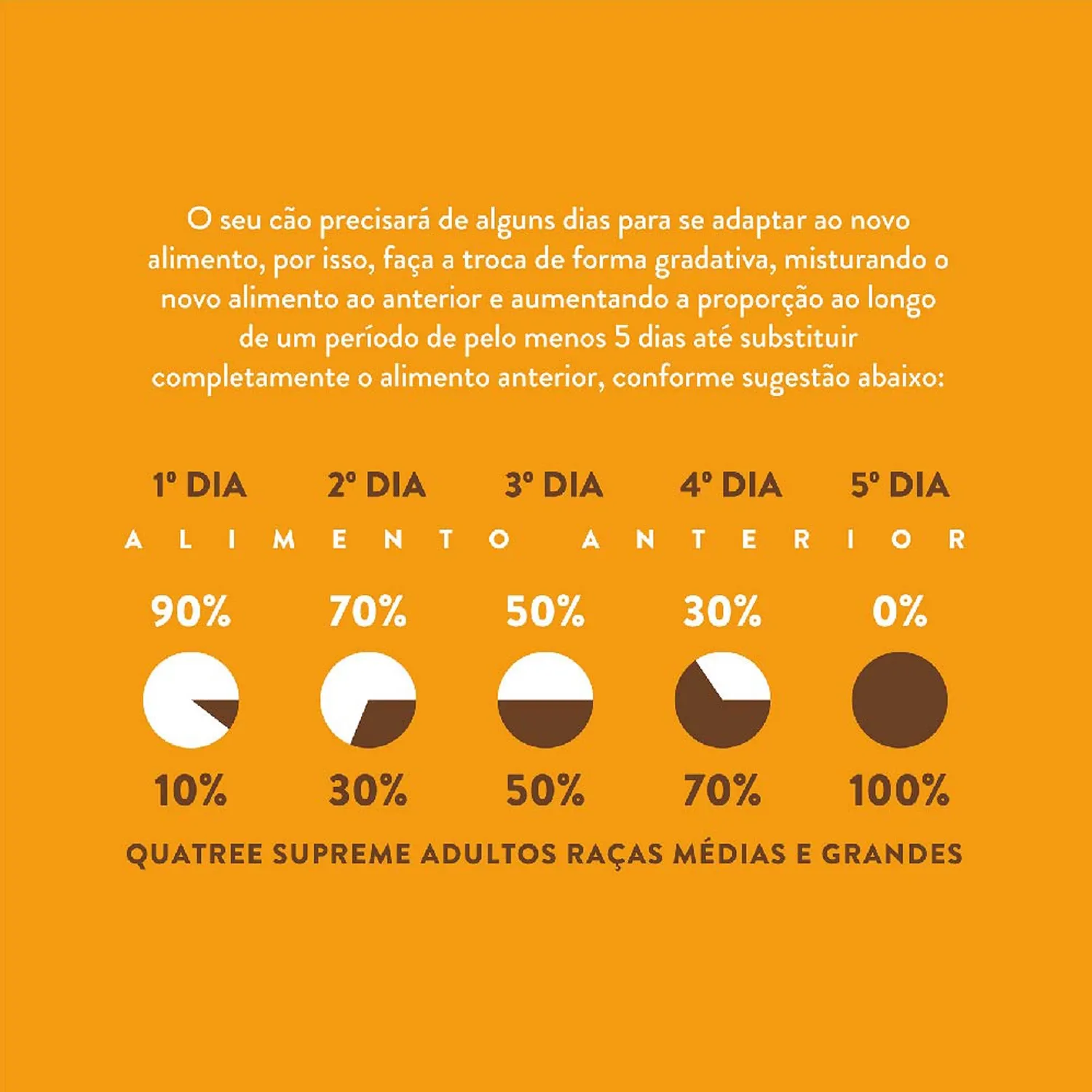 8-adaptacao