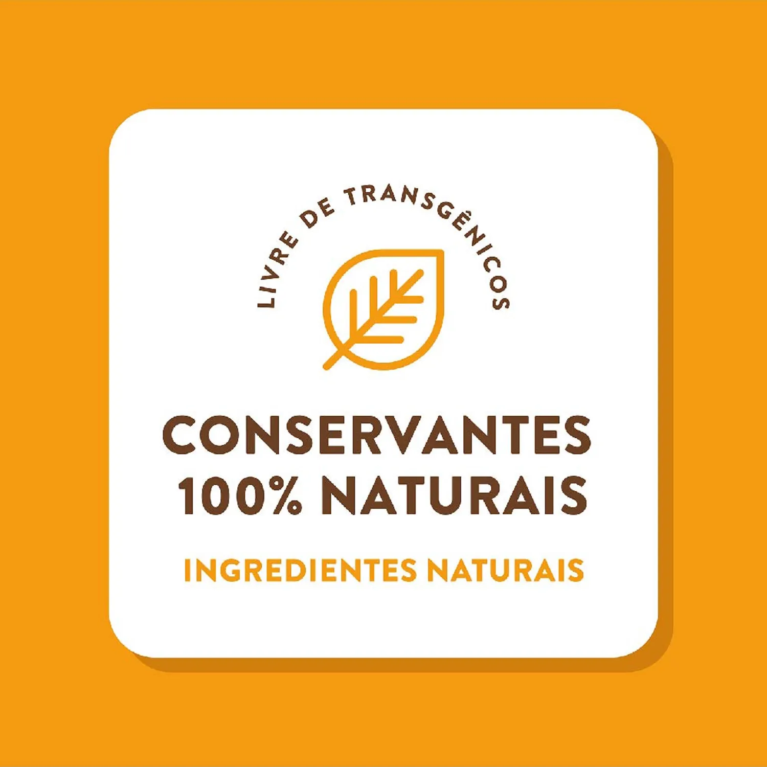9-Ingredientes-Naturais