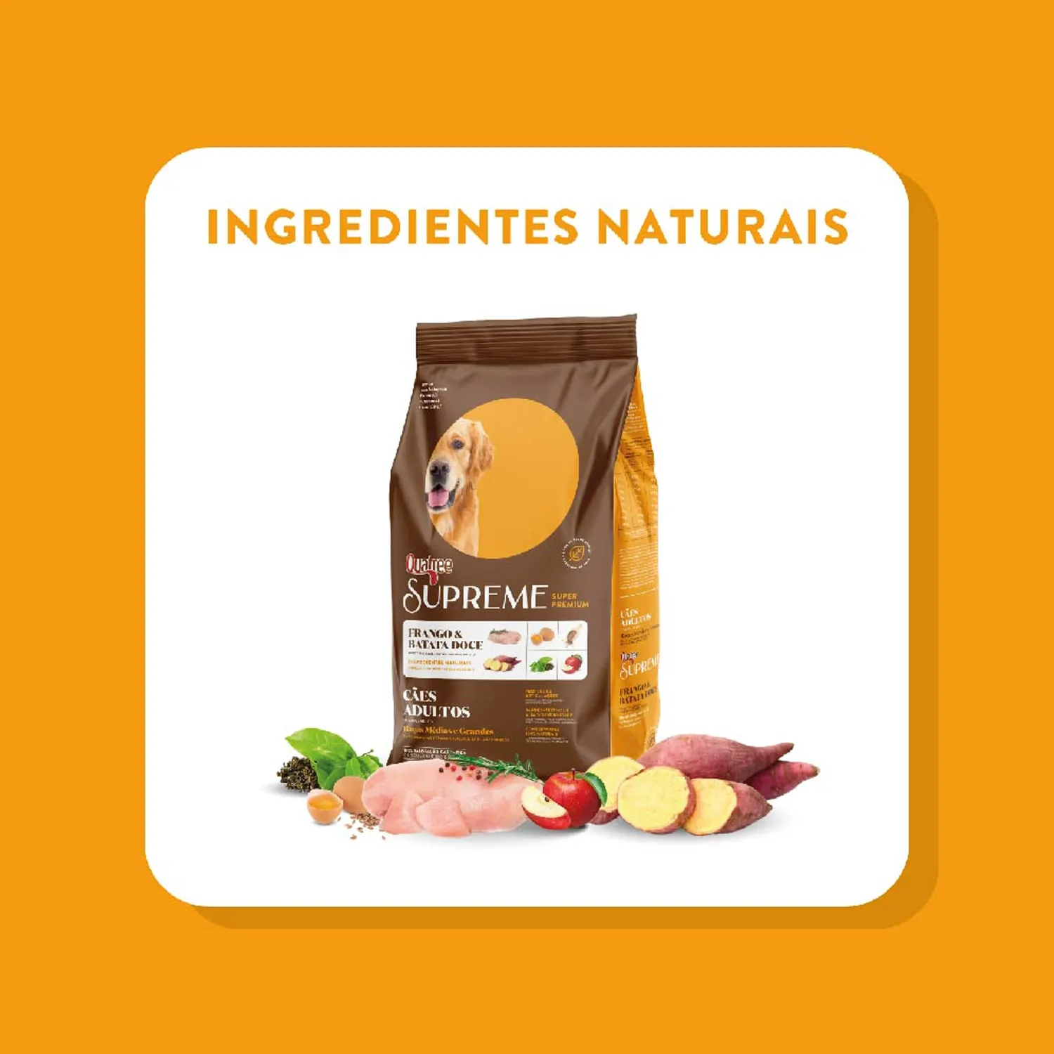 10-Ingredientes-Naturais