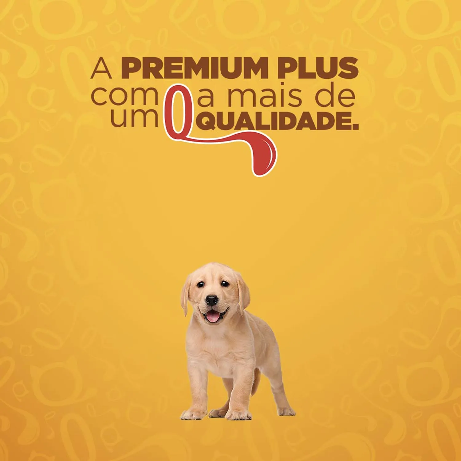 10-Mais-Qualidade