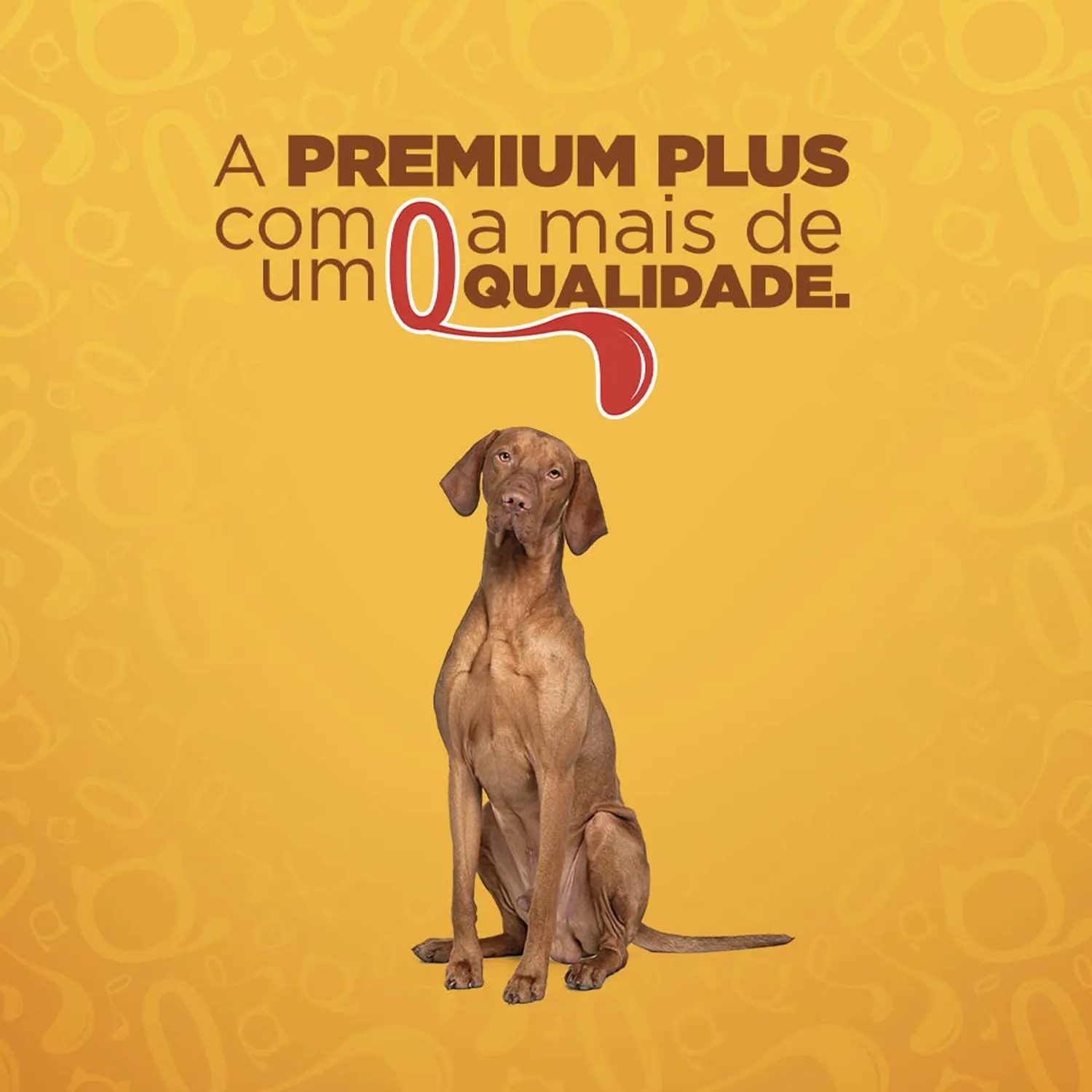 9-Mais-Qualidade