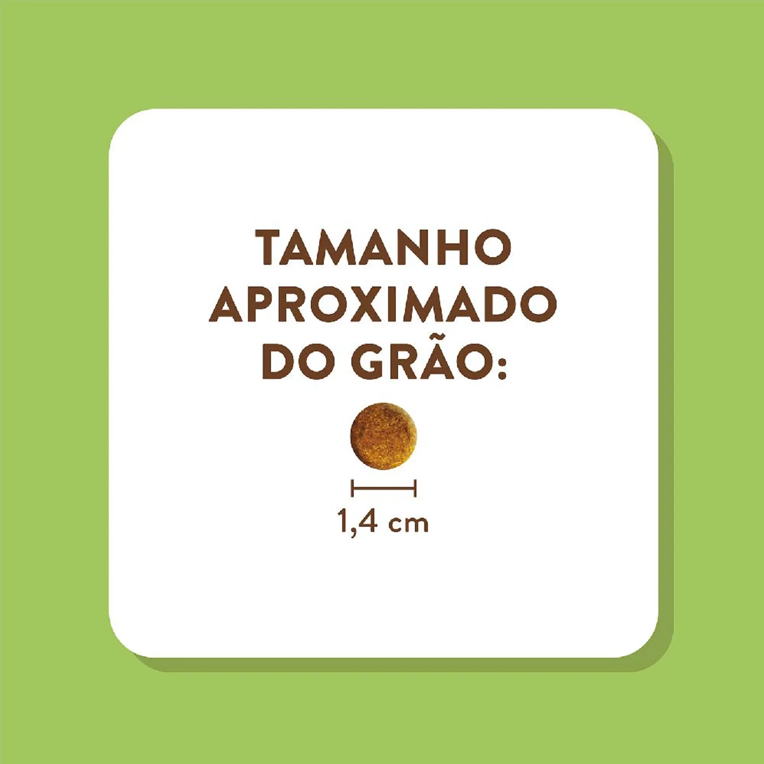 6-Tamanho-do-Grao