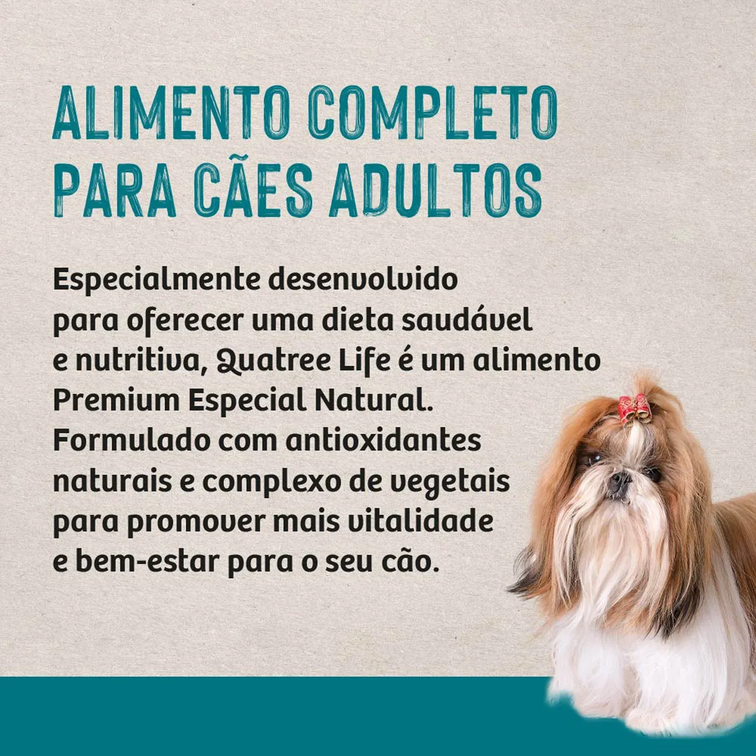 5-Alimento-Completo