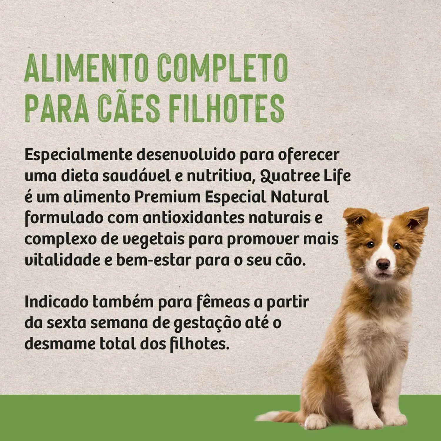 Ração Quatree Life Cães Filhotes Raças Médias e Grandes Ração Quatree Life Cães Filhotes Raças Médias e Grandes
