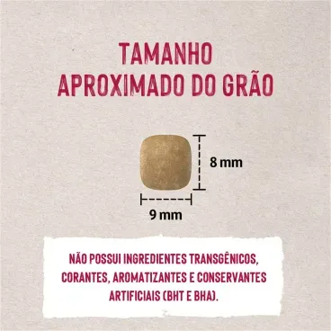 6-Tamanho-do-Grao