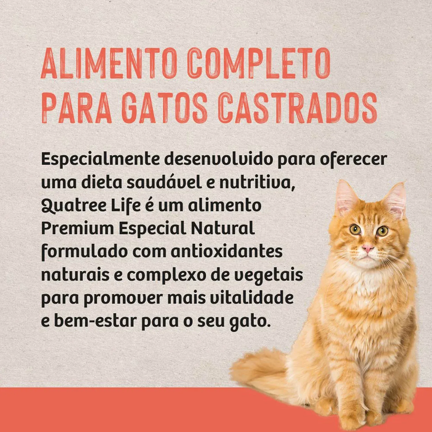Ração Quatree Life Gatos Castrados Salmão e Arroz Ração Quatree Life Gatos Castrados Salmão e Arroz