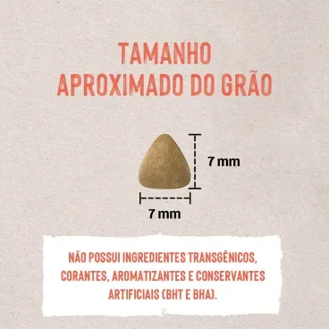6-Tamanho-do-Grao