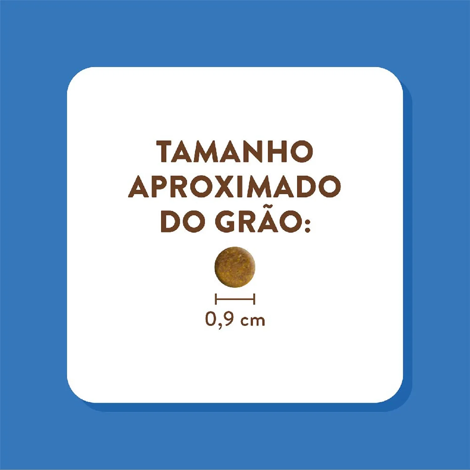 6-Tamanho-do-Grao