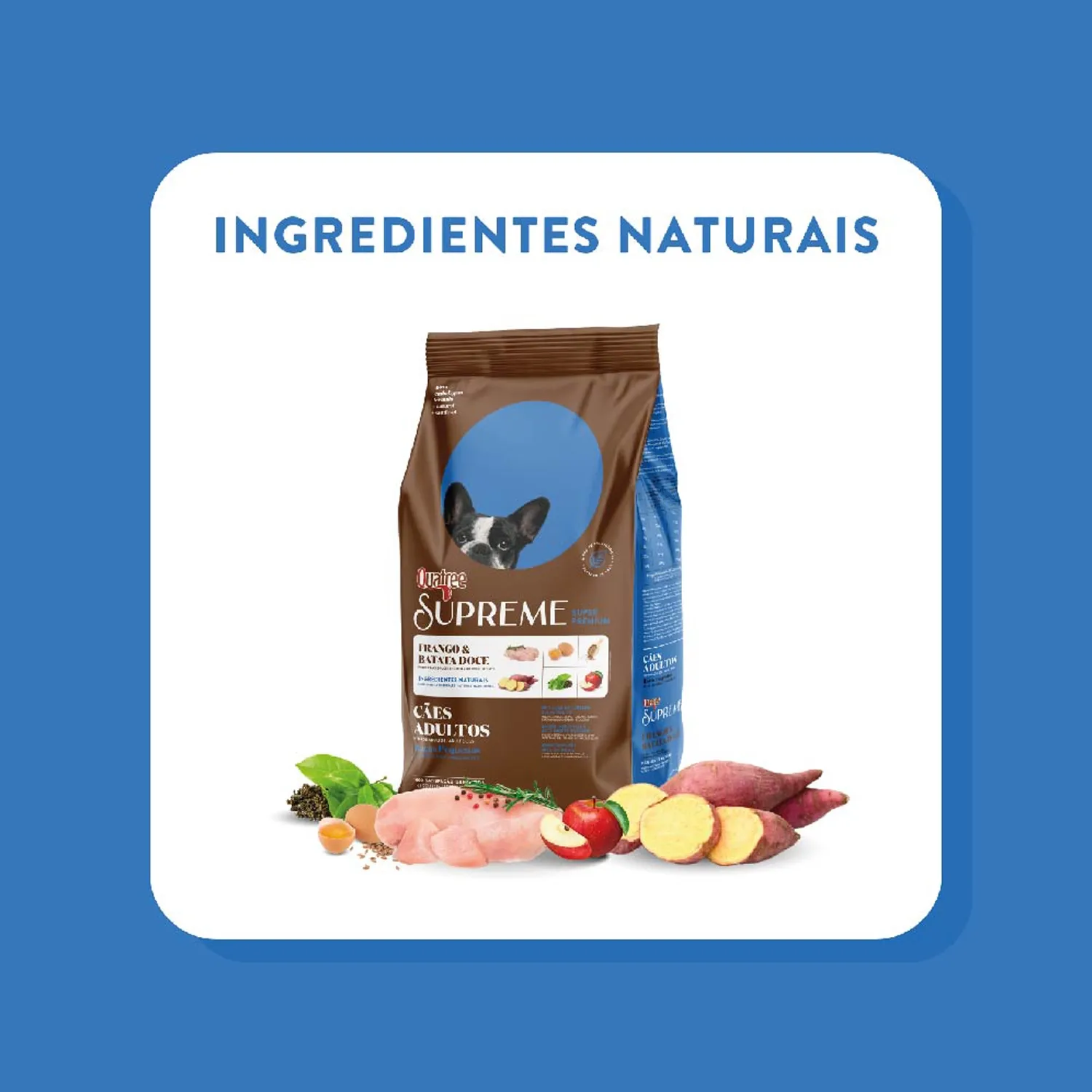 9-Ingredientes-Naturais