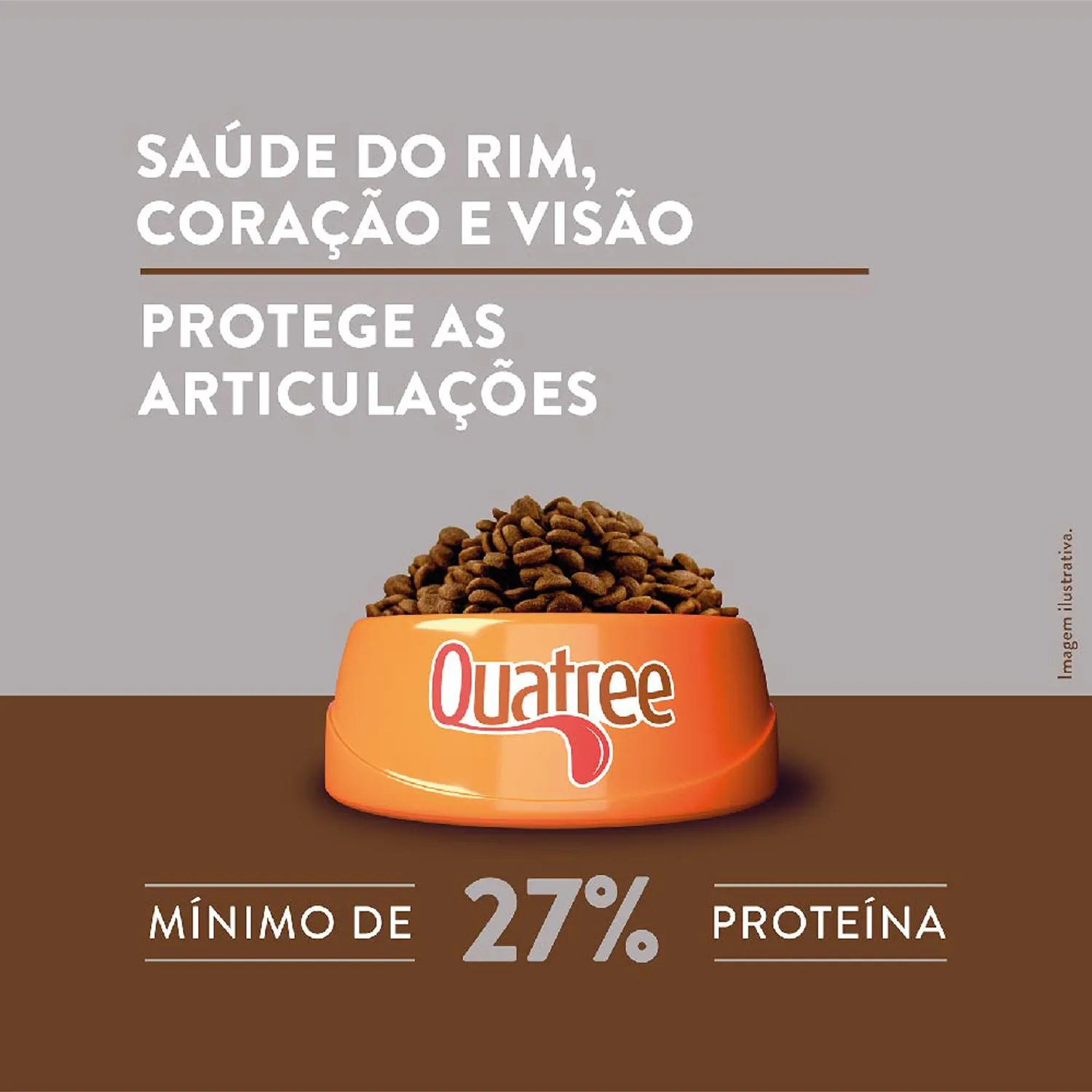 4-Saude-do-Rim