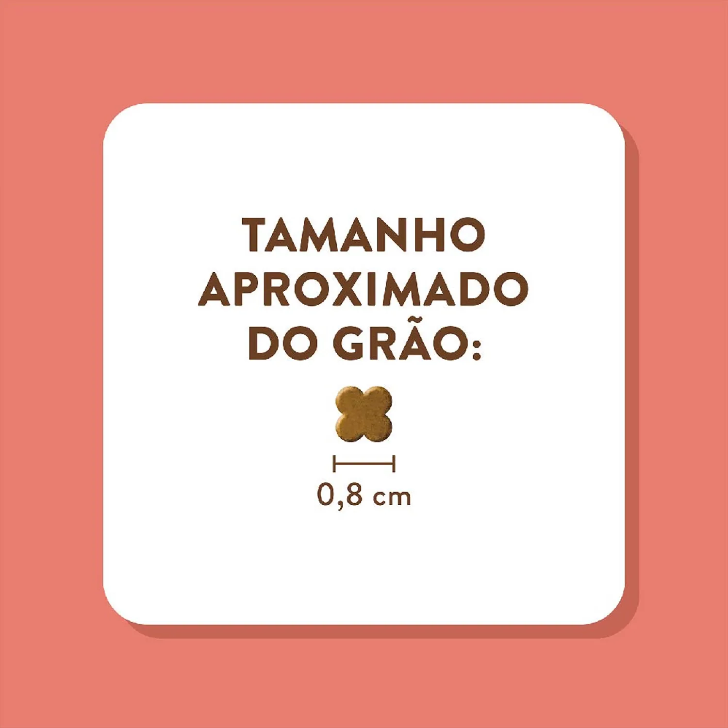 6-Tamanho-do-Grao