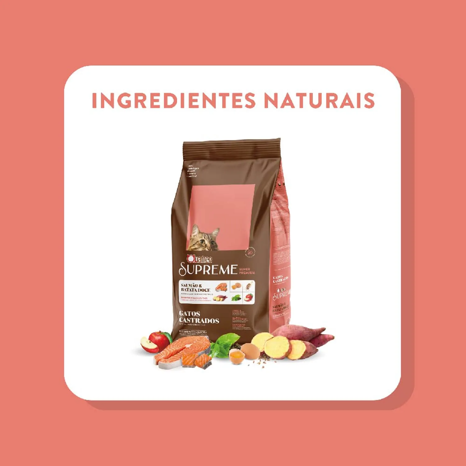 9-Ingredientes-naturais