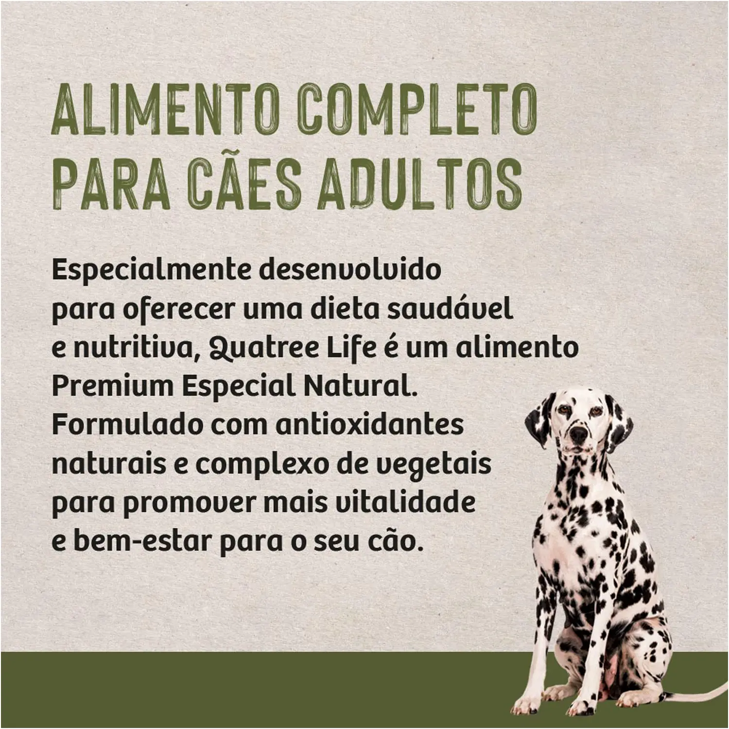 5-Alimento-Completo-para-Caes-Adultos