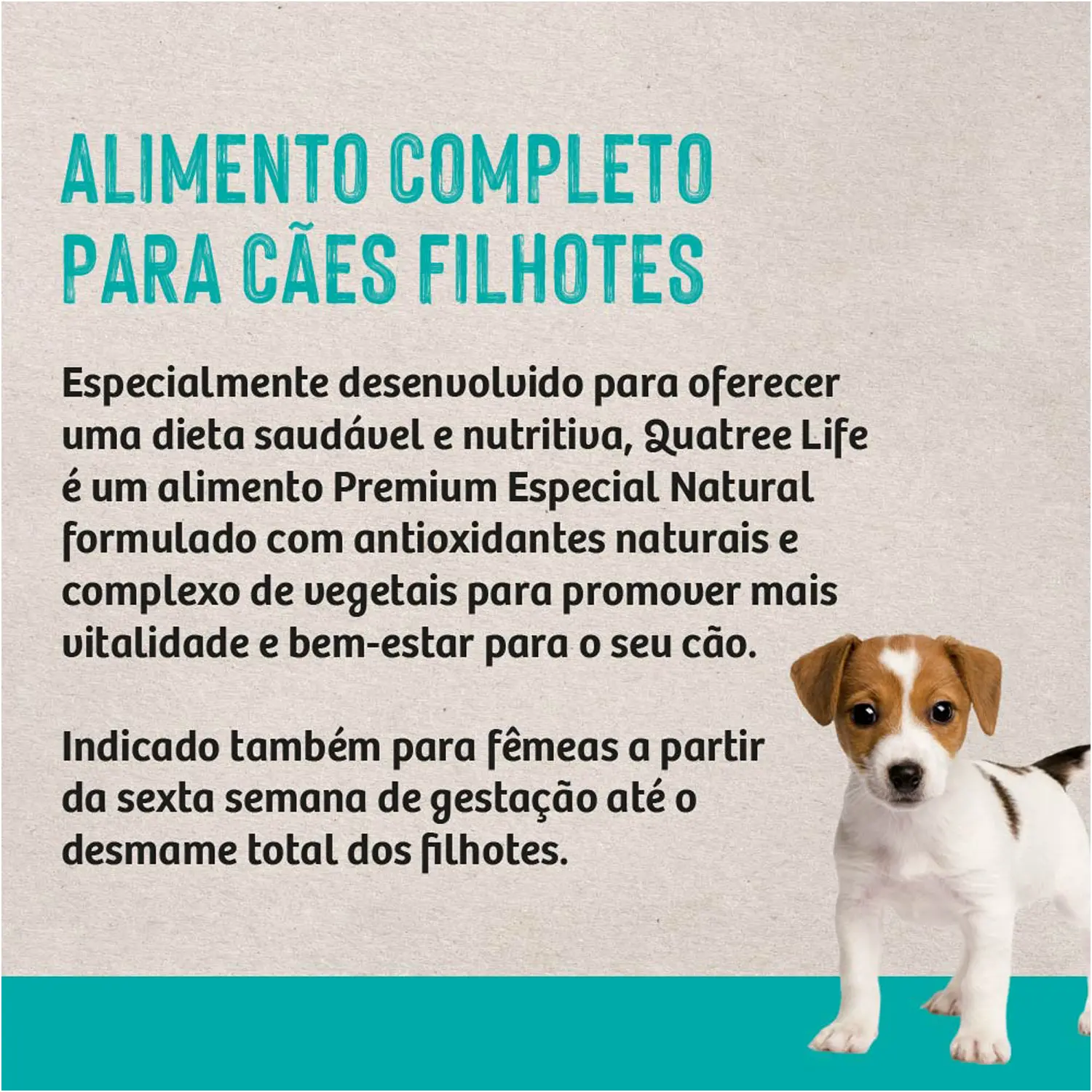 5-Alimento-Completo-para-Filhotes