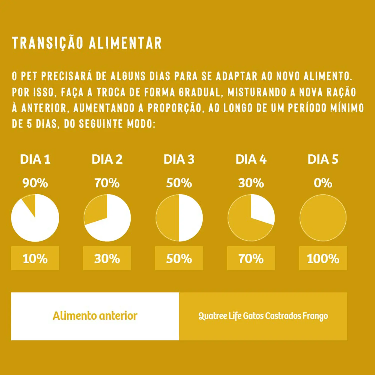 9-Transicao-Alimentra