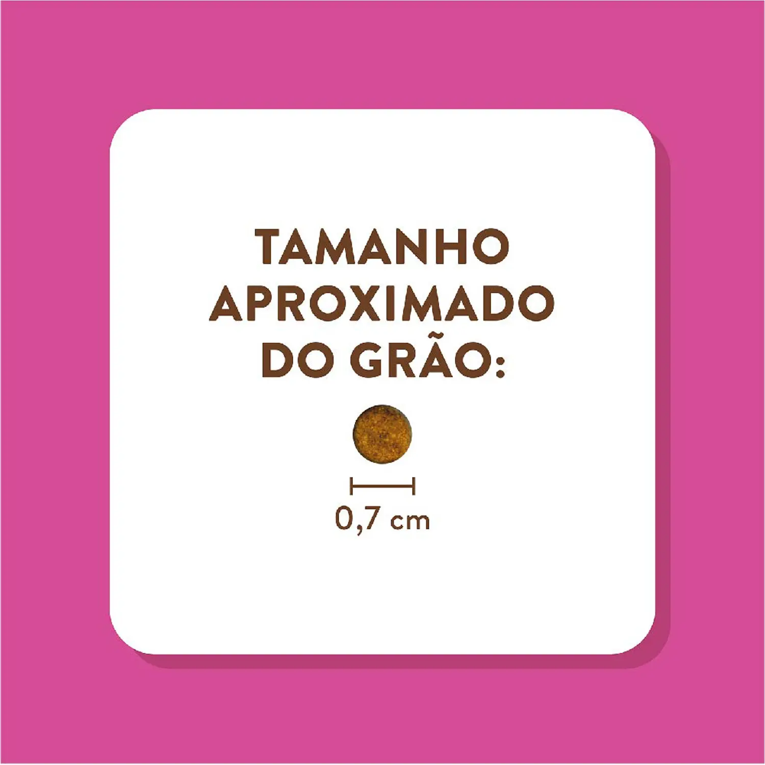 6-Tamanho-do-Grao