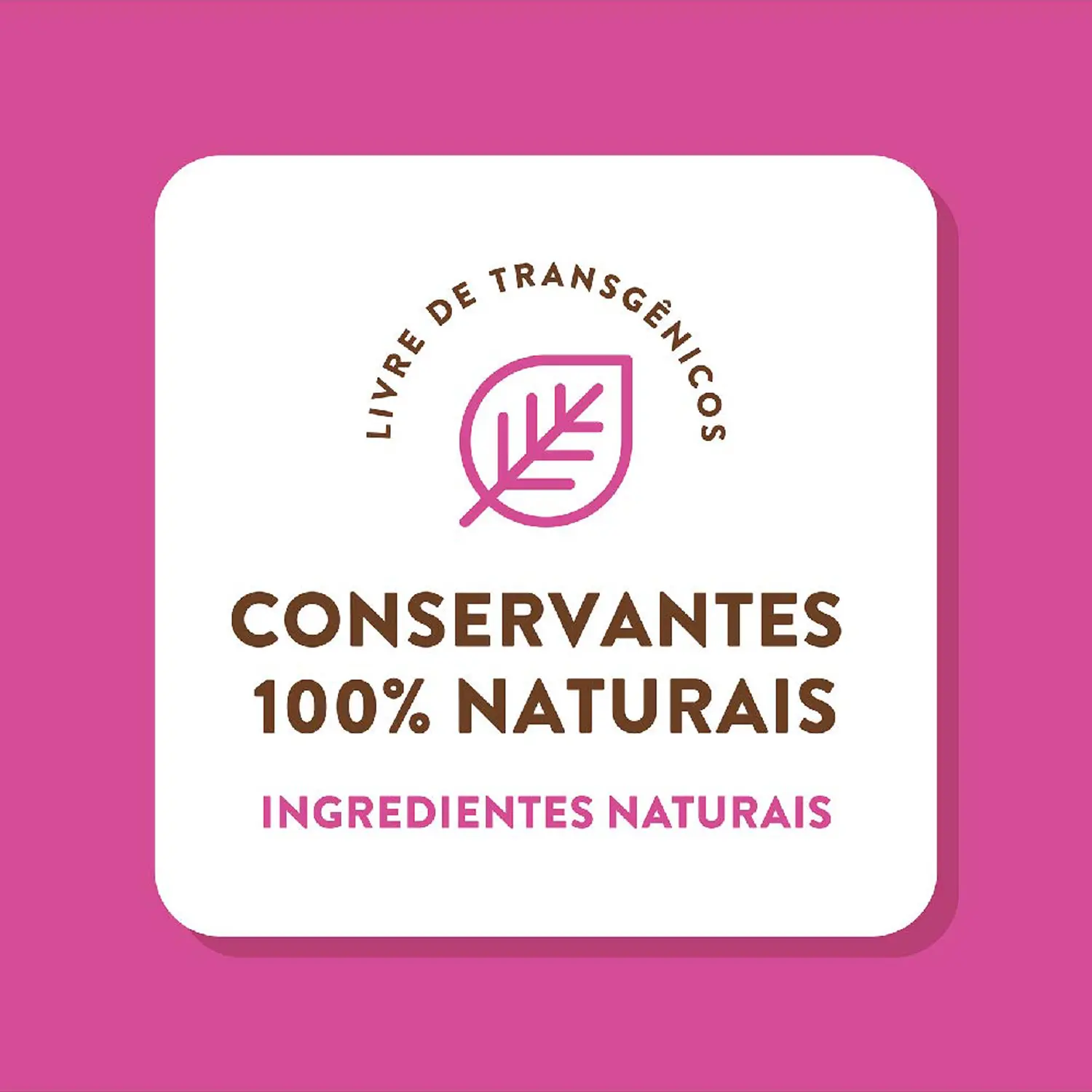 8-Conservantes-naturais