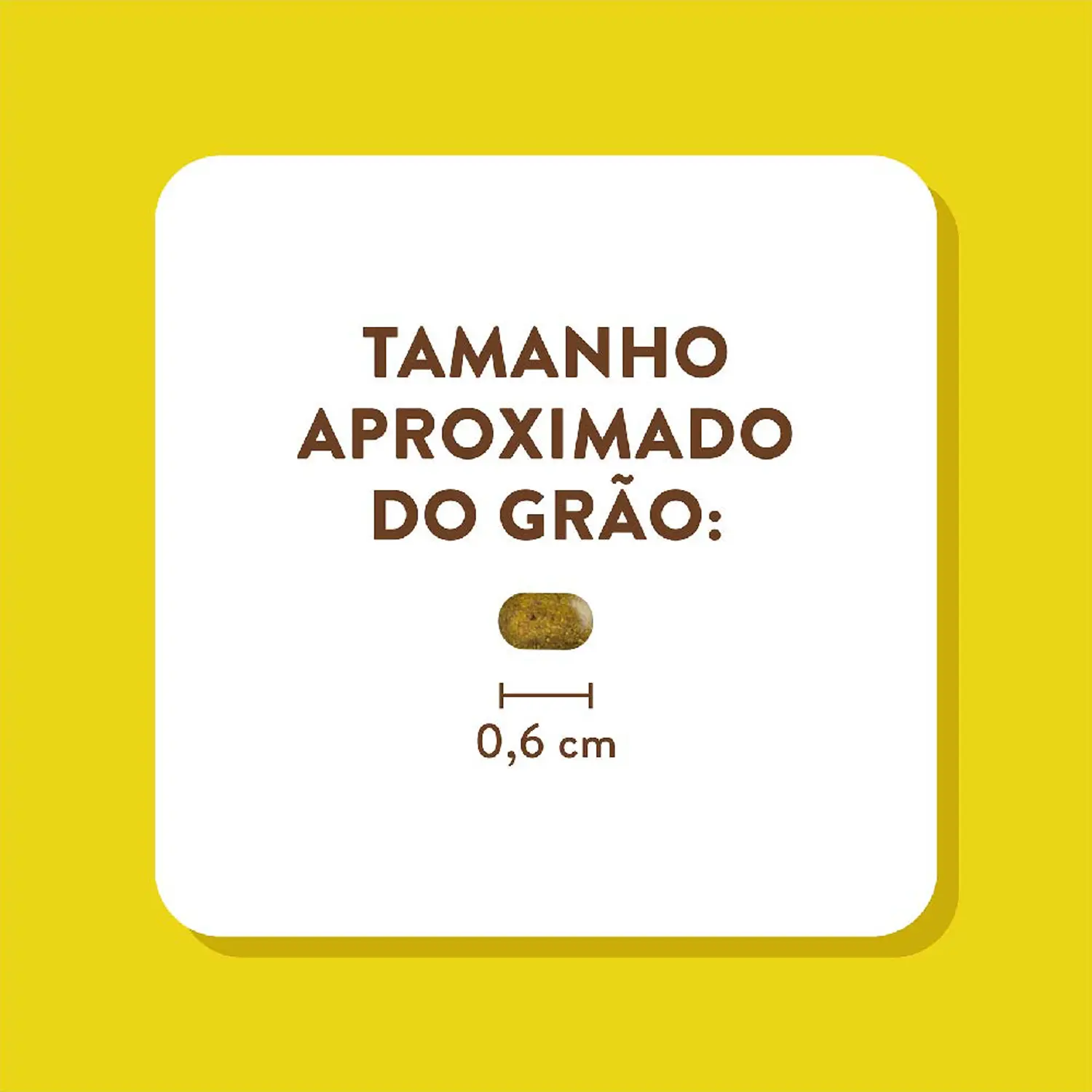 6-Tamanho-do-Grao
