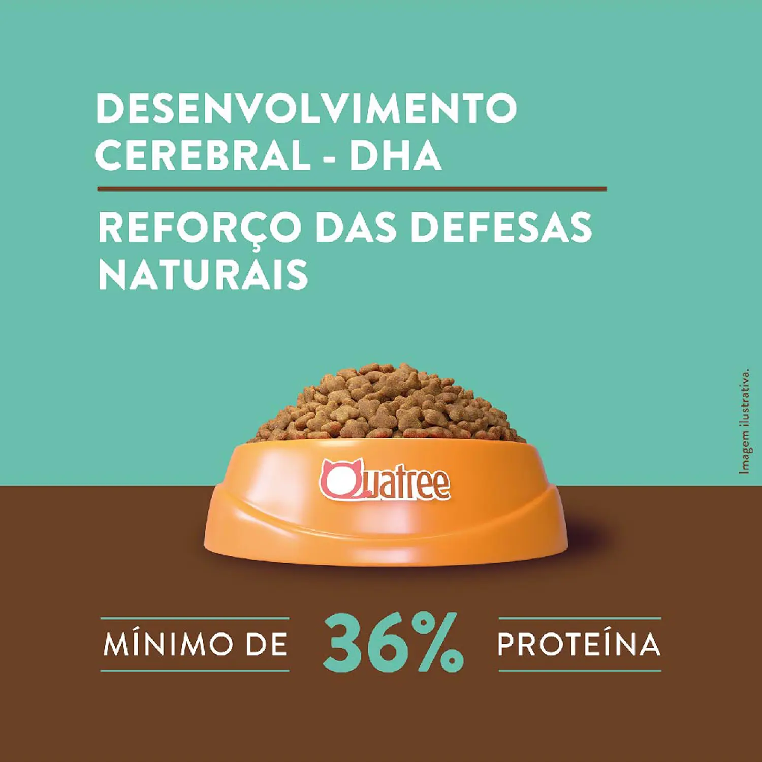 4-Desenvolvimento-Cerebral