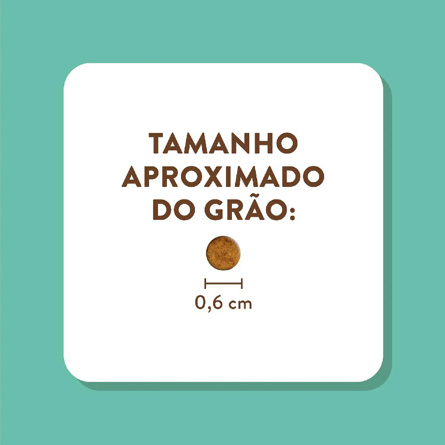6-Tamanho-do-Grao