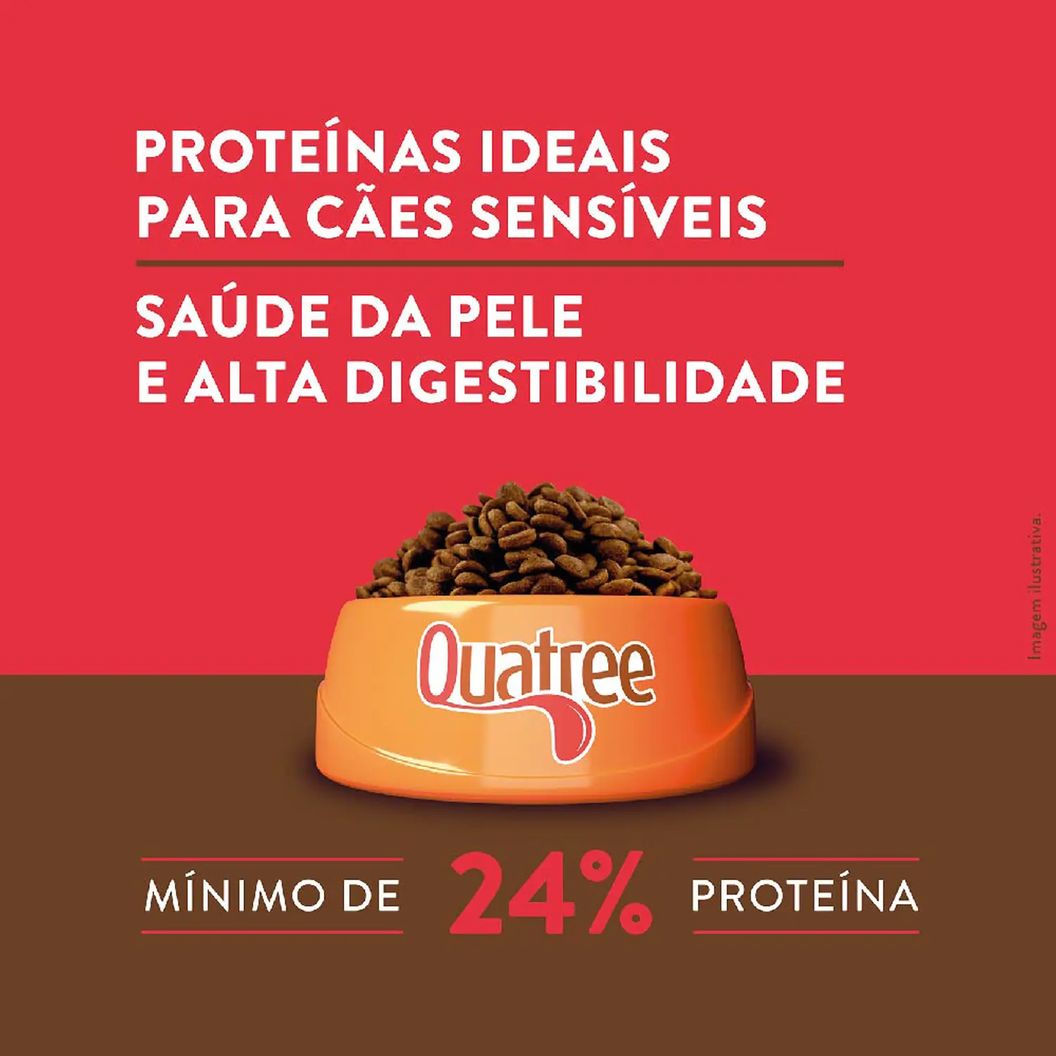 4-Proteinas-Ideais