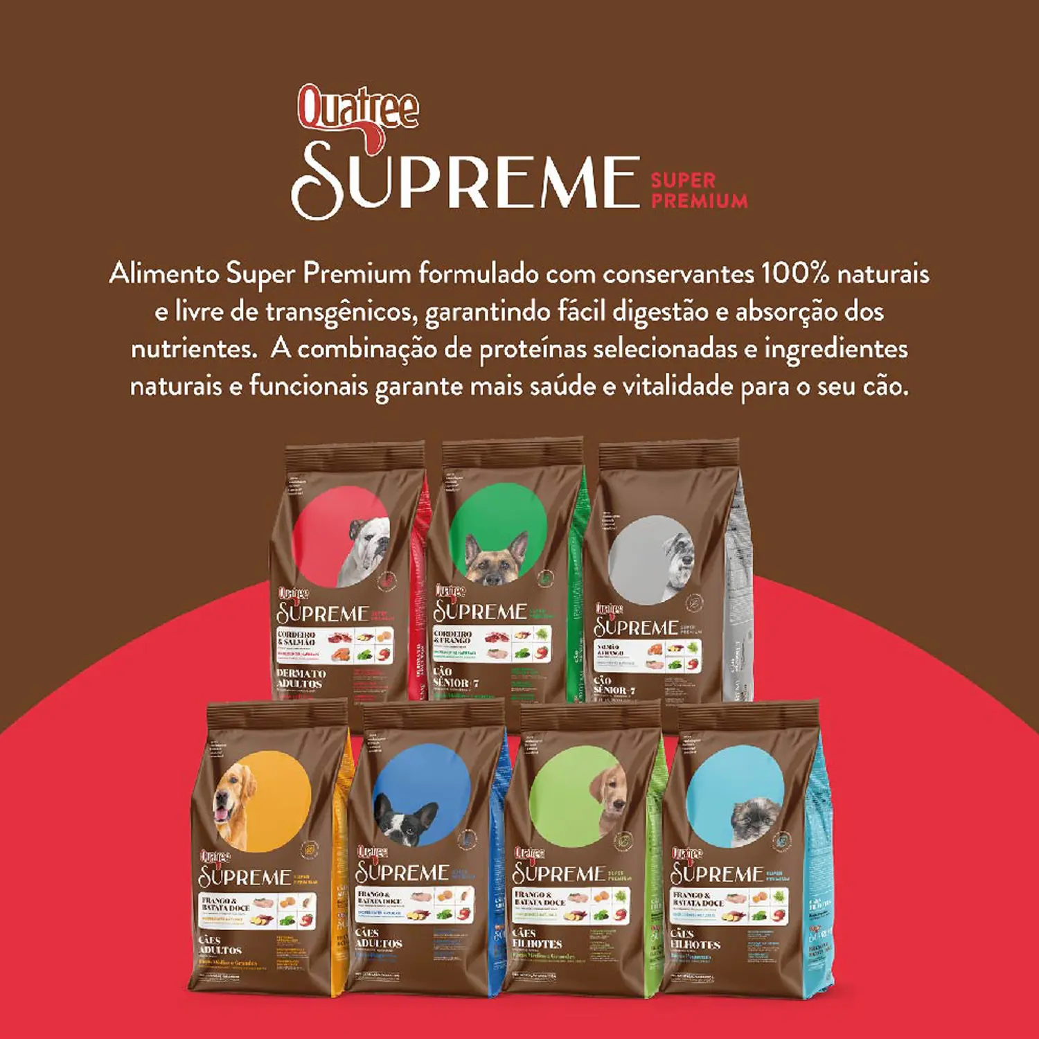 5-Linha-Completa
