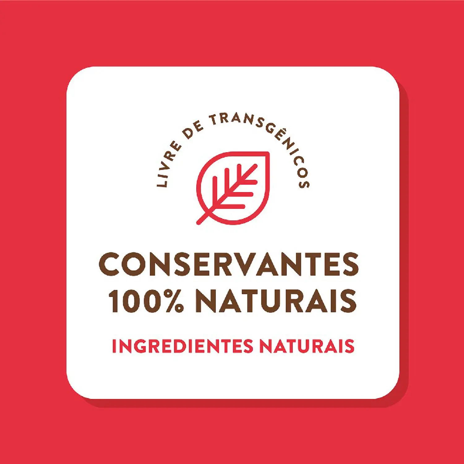 8-Conservantes-Naturais
